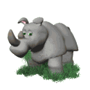 rhinoceros animéiert-biller-gif